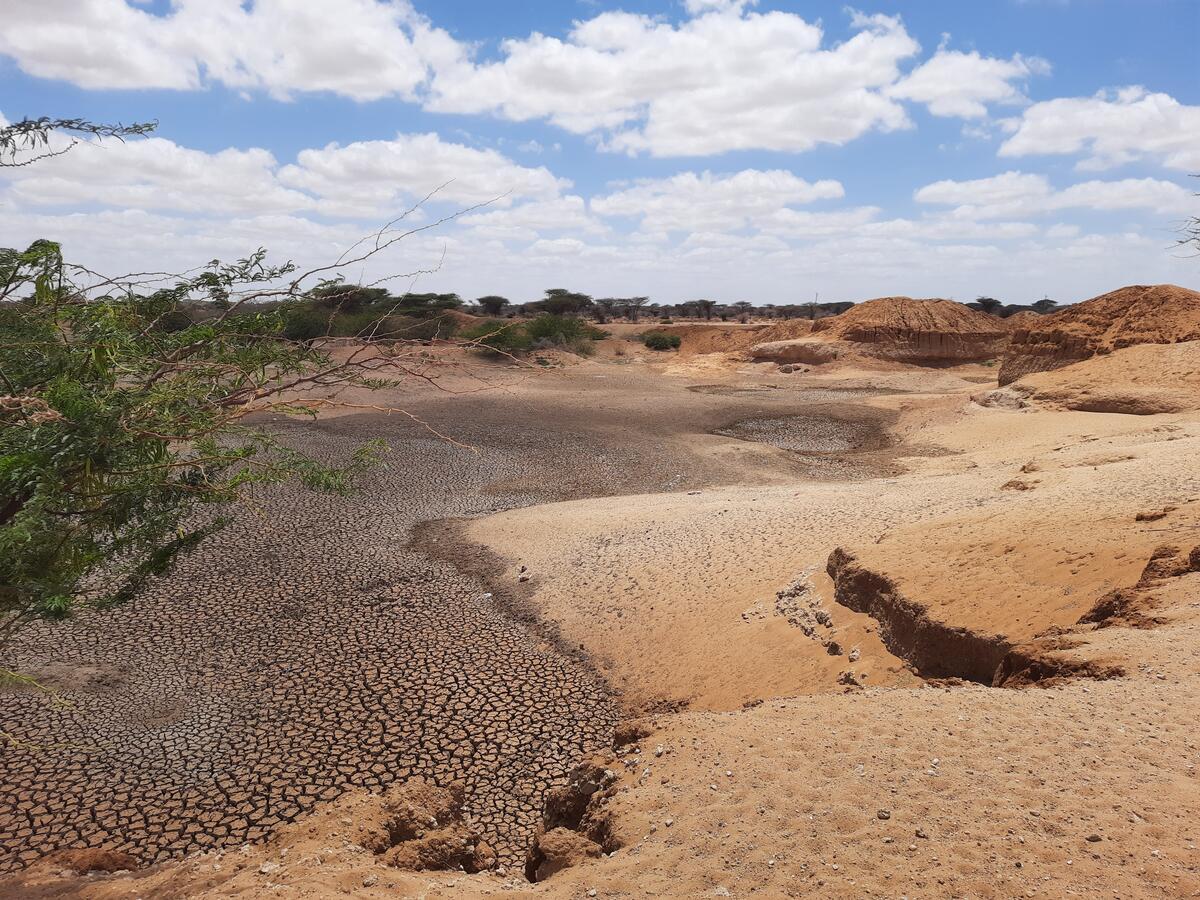 Farmer training workshop